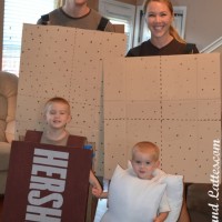 handmade smore costume