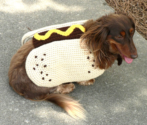 diy hot dog pet costume