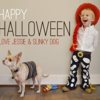 DIY jesse and Slinky dog costumes