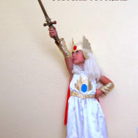 Homemade She-Ra Costume