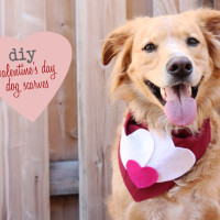 DIY Valentine scarf for dog