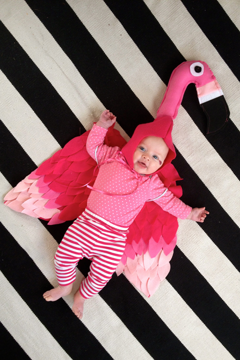 diy-baby flamingo-costume