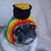 Crochet pot of gold hat