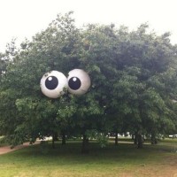 Tree costume