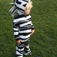 Handmade zebra costume