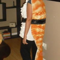 DIY Sushi costume